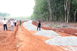 Sốt đất theo dự án “ảo”