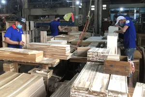 Cơ hội phát triển vật tư nông nghiệp trong nước