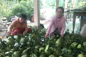 Giảm phí logistics, tăng sức cạnh tranh cho nông sản 