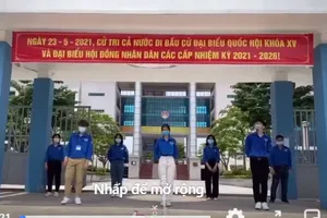 Sôi động Vũ điệu đi bầu