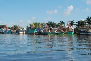 Kiên Giang bảo tồn nhiều nguồn gien quý bản địa