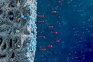 Quy trình loại bỏ chất boron trong nước biển  qua điện cực xốp