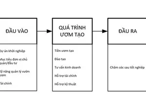 Hoàn thiện bộ tiêu chí đánh giá mô hình vườn ươm khởi nghiệp