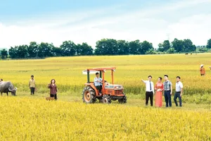 Cho vay nông nghiệp là ưu tiên hàng đầu của LienVietPostBank