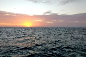 Về phía mùa xuân 