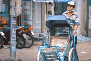   Những mùa hoa của nắng