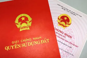 Quảng Ngãi: Người dân làm hồ sơ đất lúc 1 giờ sáng