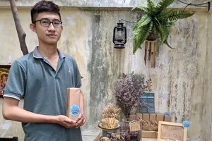 Giải cứu pin cũ