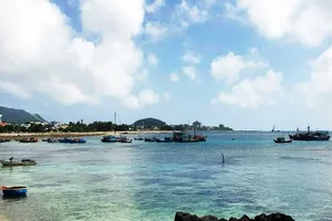 Dự án cảng Bến Đình chưa nghiệm thu đã bị lỗi