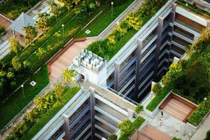 Trang trại đô thị công nghệ cao ở Singapore. Ảnh: Govinsider