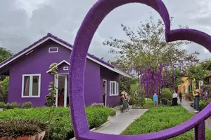 Nơi gặp gỡ của những người yêu màu tím 