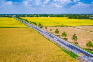 Giữ ổn định 3,5 triệu ha đất trồng lúa