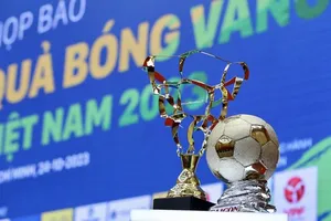 Khơi mạch vàng tươi trẻ