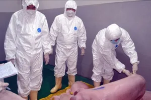 Khẩn trương tiêm phòng vaccine bảo vệ đàn gia súc, gia cầm