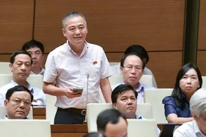 ĐB Nguyễn Lân Hiếu (Bình Định). Ảnh: VIẾT CHUNG