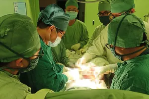 An Giang: Sập “cầu khỉ”, 1 phụ nữ bị trụ gỗ nhọn đâm thủng đùi