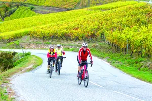 Dân châu Âu “tiêu” thời gian hưu trí thế nào