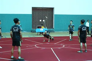 Nghệ thuật đá cầu kiểng