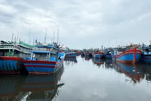 Quảng Ngãi: Xử lý nghiêm các tàu cá chưa lắp đặt thiết bị giám sát hành trình