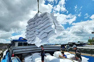 Vietnam's potential rice exports to the Philippines around 4.3 million tons