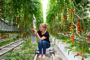 Lộ trình mới đảm bảo an ninh lương thực