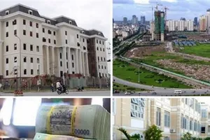 Đề nghị xử lý các đơn vị, cá nhân chậm báo cáo kiểm kê tài sản công 