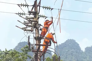 Chủ động ứng phó nắng nóng, không để xảy ra thiếu điện