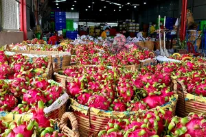 Việt Nam đề nghị Hoa Kỳ chấp thuận xử lý thanh long bằng hơi nước nóng