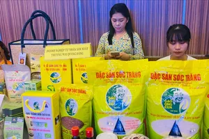 Gạo ST25 được tiêu thụ mạnh tại thị trường nội địa