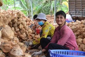 Nâng cao giá trị cây dừa, thúc đẩy kinh tế địa phương