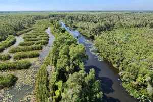 Năm 2025, Long An phấn đấu đón 2 triệu lượt khách du lịch 