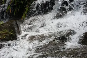 Quảng Bình: Đề xuất 5 vị trí làm trang trại heo, tổng diện tích hơn 210ha khiến dân lo ngại