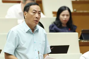 Đại biểu đề nghị phát triển công nghiệp công nghệ số lưu ý tới an ninh môi trường