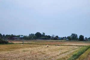 Tiền chuyển mục đích sử dụng đất quá cao, người dân như mua đất lần 2