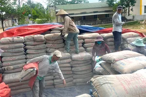Người dân phân loại xi măng bị hư hỏng để loại bỏ 
