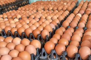 Bác bỏ tin đồn “trứng gà giả”