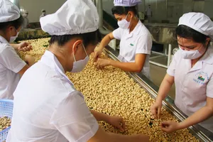 Trung Quốc vượt Mỹ về tiêu thụ điều của Việt Nam