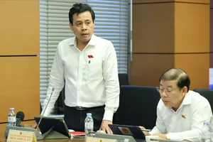 ĐB Trần Anh Tuấn (TPHCM) phát biểu chiều 21-5. Ảnh: QUANG PHÚC 