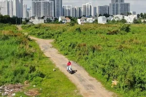 Khu đất tại huyện Bình Chánh, TPHCM. Ảnh: Hoàng Hùng
