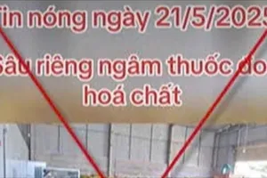 Đề nghị xử lý thông tin sai sự thật “sầu riêng nhúng hóa chất tại Đắk Nông”