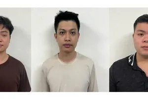 Lừa bán cây, cá cảnh, chiếm đoạt hơn 2 tỷ đồng