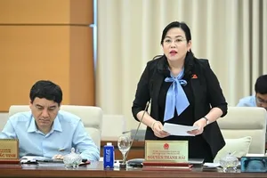 Trưởng Ban Công tác đại biểu Nguyễn Thanh Hải phát biểu tại phiên họp