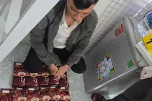 Triệt phá đường dây ma túy liên tỉnh, thu 21kg ma túy