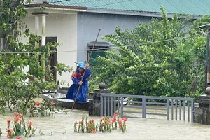 Miền Trung và Tây Nguyên thiệt hại nặng nề do hoàn lưu bão số 1