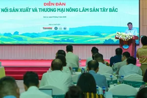 Tây Bắc: Hoa trái không thiếu, nhưng yếu xuất khẩu