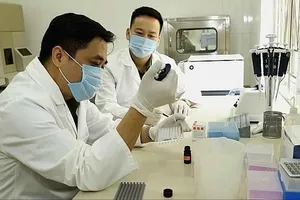 Dự thảo bổ sung quy định về kinh nghiệm hoạt động chuyên môn của giám định viên tư pháp. Ảnh minh họa: TTXVN