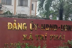 Sau vụ cán bộ xã bị khởi tố vẫn làm việc, Cà Mau rà soát đảng viên vi phạm pháp luật