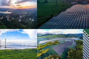 Bộ ảnh “Bừng sáng khát vọng xanh” được trao Huy chương vàng thể loại ảnh hiện thực