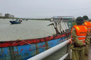 Những thiệt hại ban đầu từ bão số 5