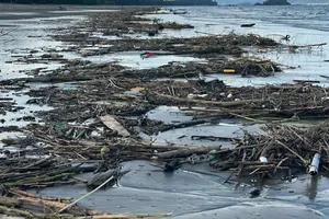 Bãi biển Nghệ An ngập rác sau bão số 5